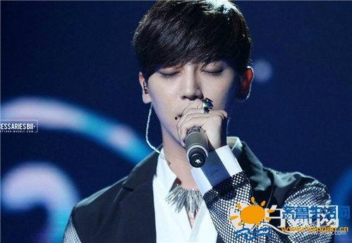 光泽歌手个人资料,音乐之光，闪耀舞台的璀璨之星